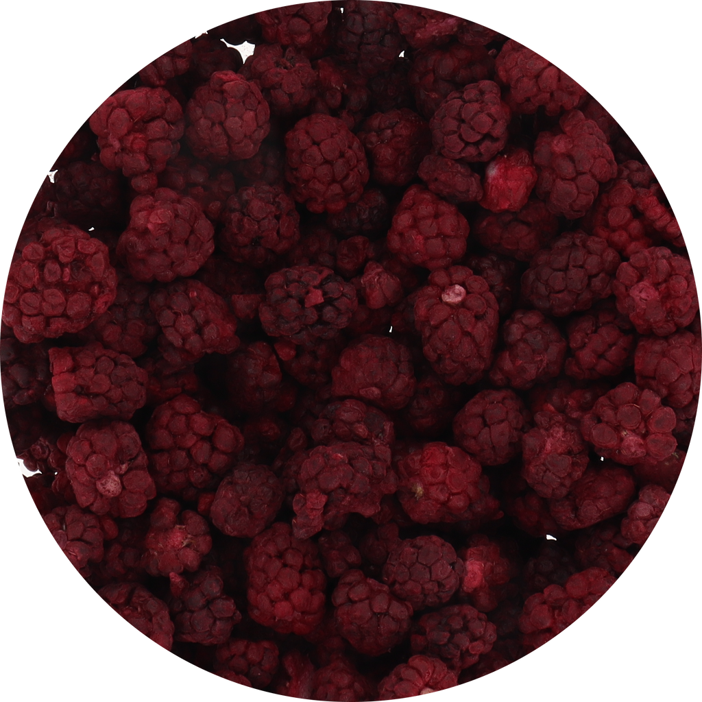Freeze Dried Boysenberry