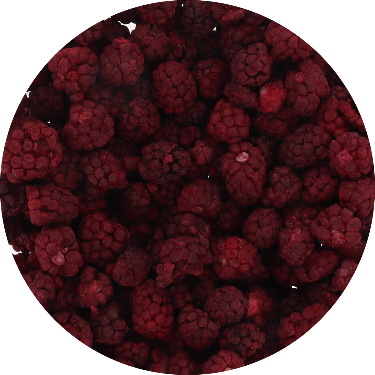 Freeze Dried Boysenberry