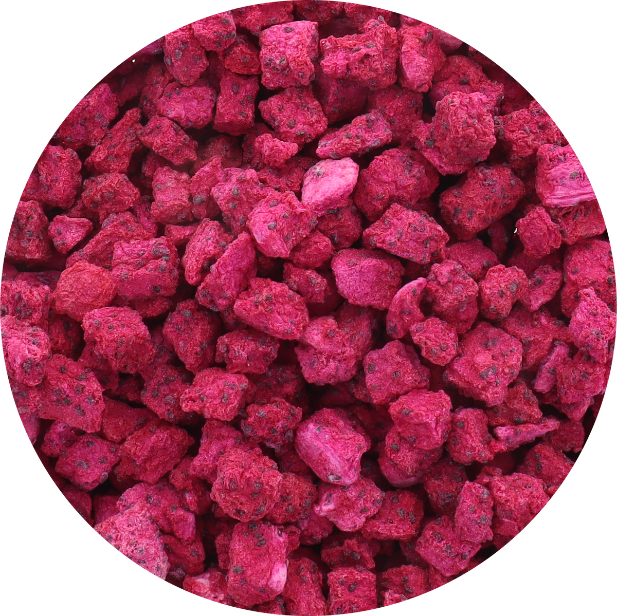 Freeze Dried Organic Red Dragon Fruit