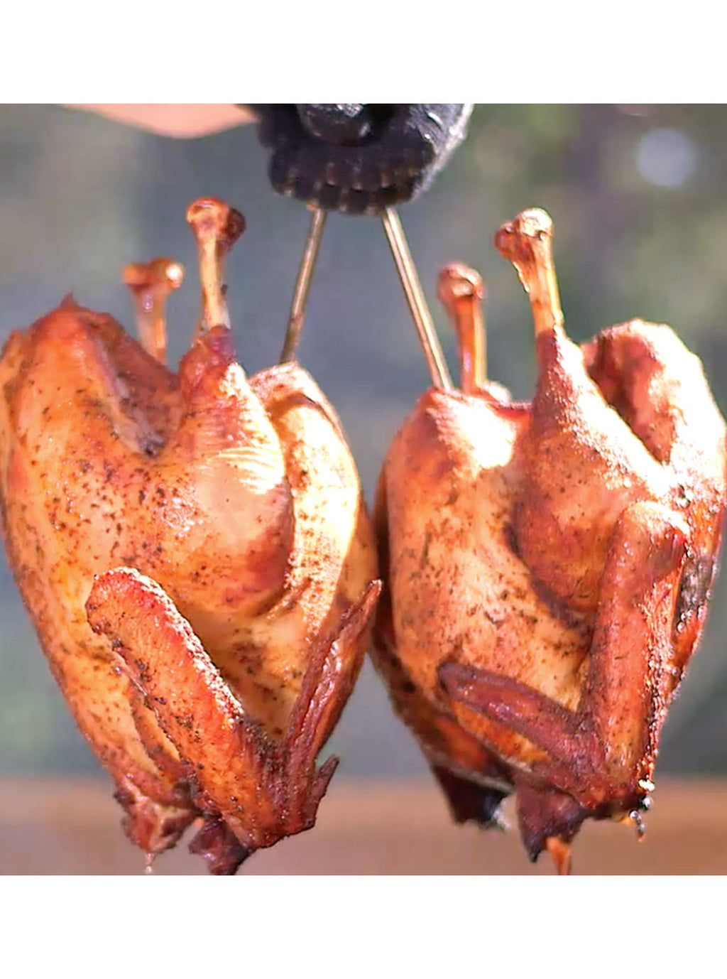 Stainless Steel Poultry Hanging Hook